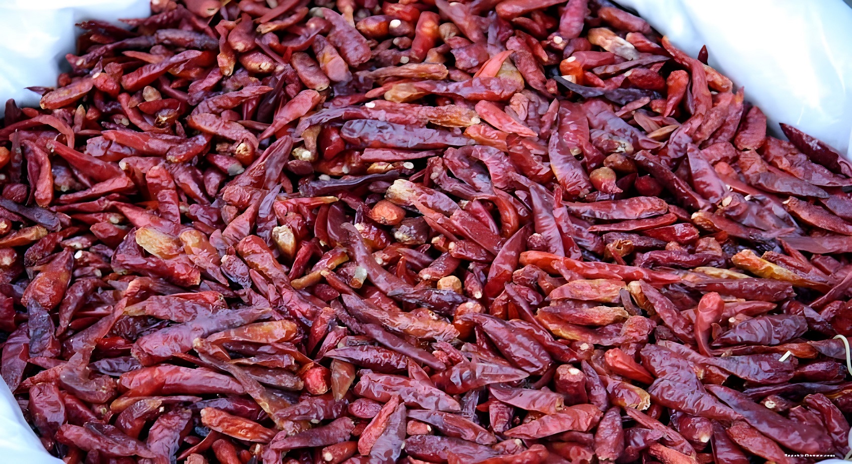 Dried Red Chilli Pepper